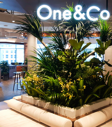 One&Co - Twenty Anson - interior view 1